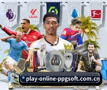 play-online-ppgsoft.com.cn的方向 - 长期内容价值积累