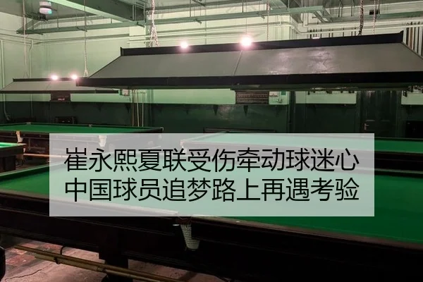 崔永熙夏联受伤牵动球迷心 中国球员追梦路上再遇考验